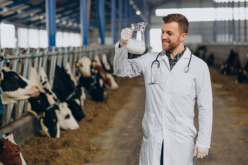 Veterinário com leite na mão